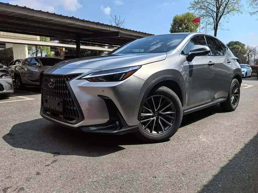 Lexus NX New Energy 2022 из CN, фото 6