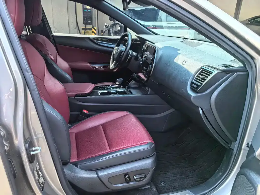 Lexus NX New Energy 2022 из CN, фото 5