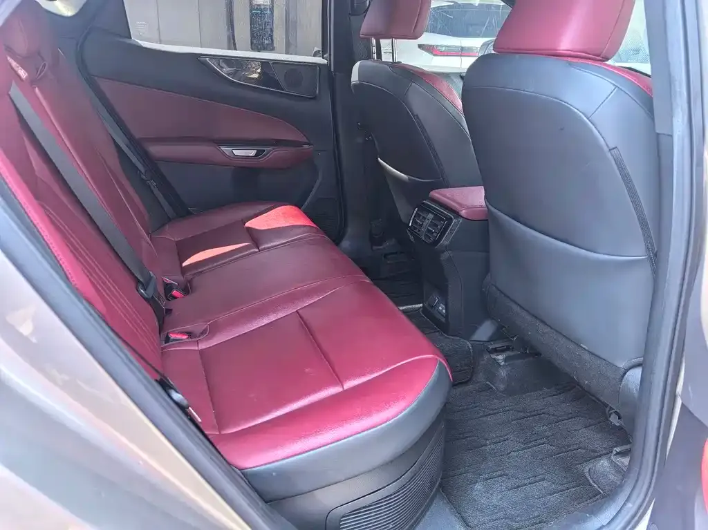 Lexus NX New Energy 2022 из CN, фото 3