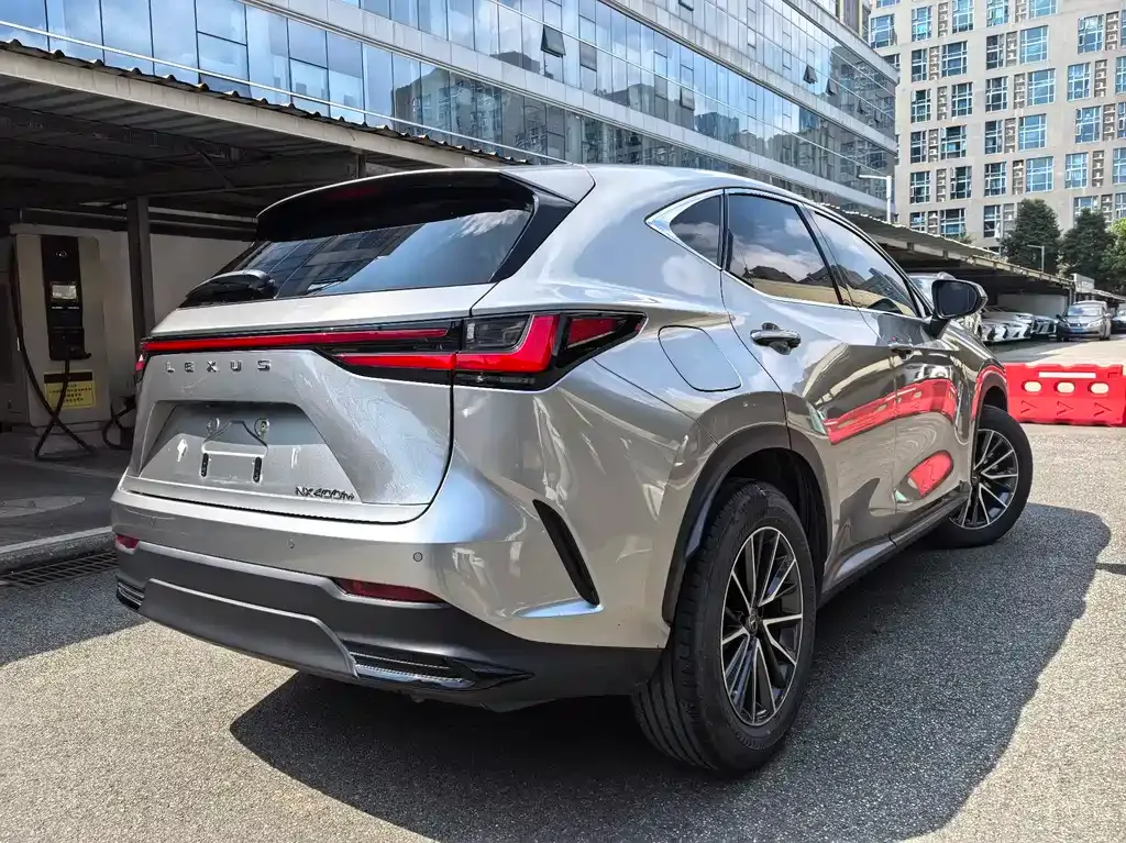 Lexus NX New Energy 2022 из CN, фото 4