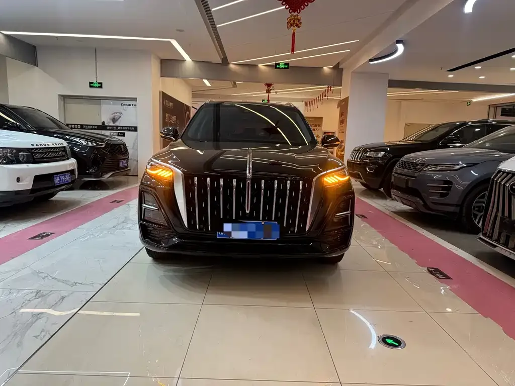 Hongqi HS5 2023 из CN, фото 8