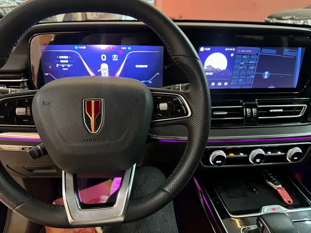 Hongqi HS5 2023 из CN, фото 9