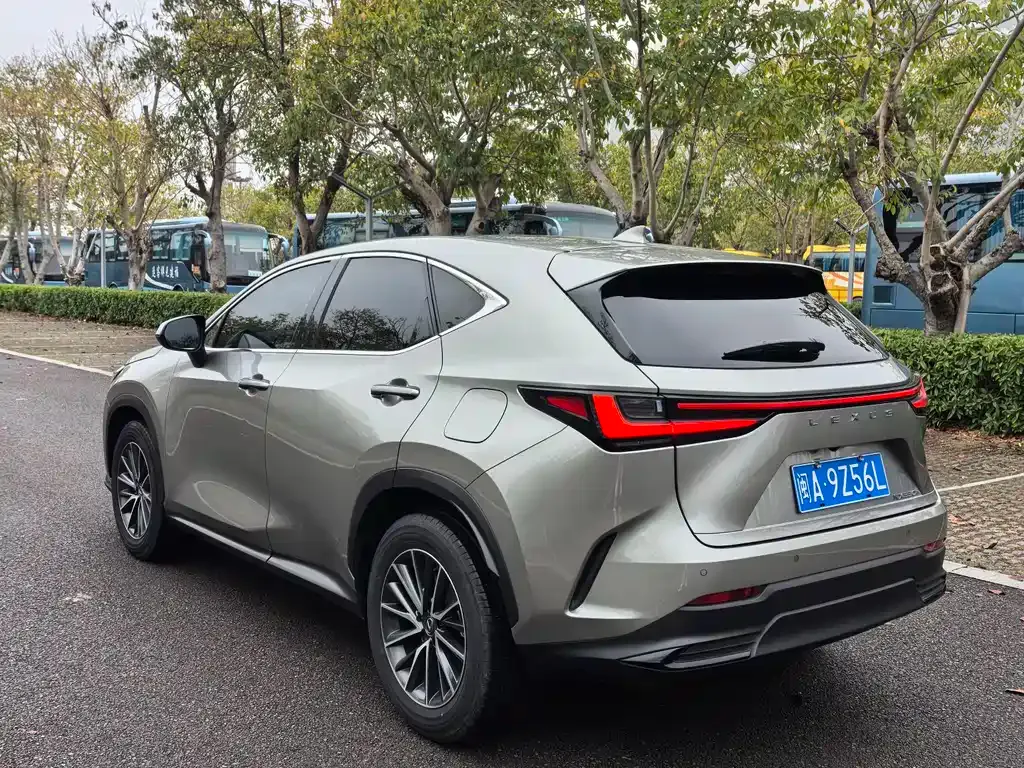 Lexus NX — фото 10