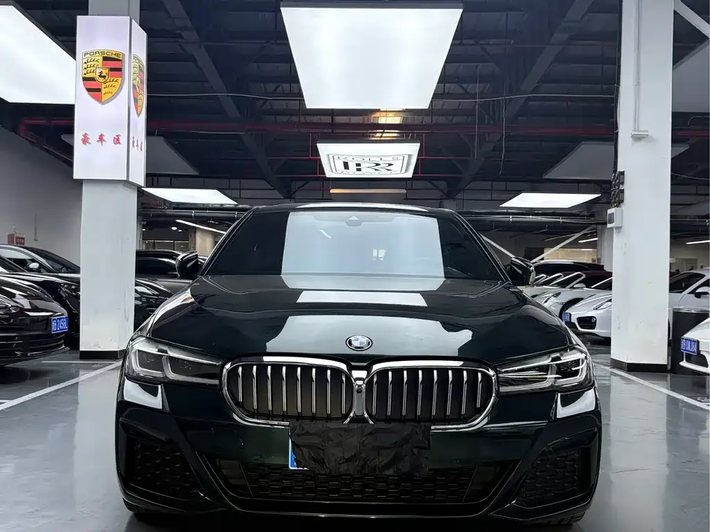 BMW 5 Series (Import) — фото 10