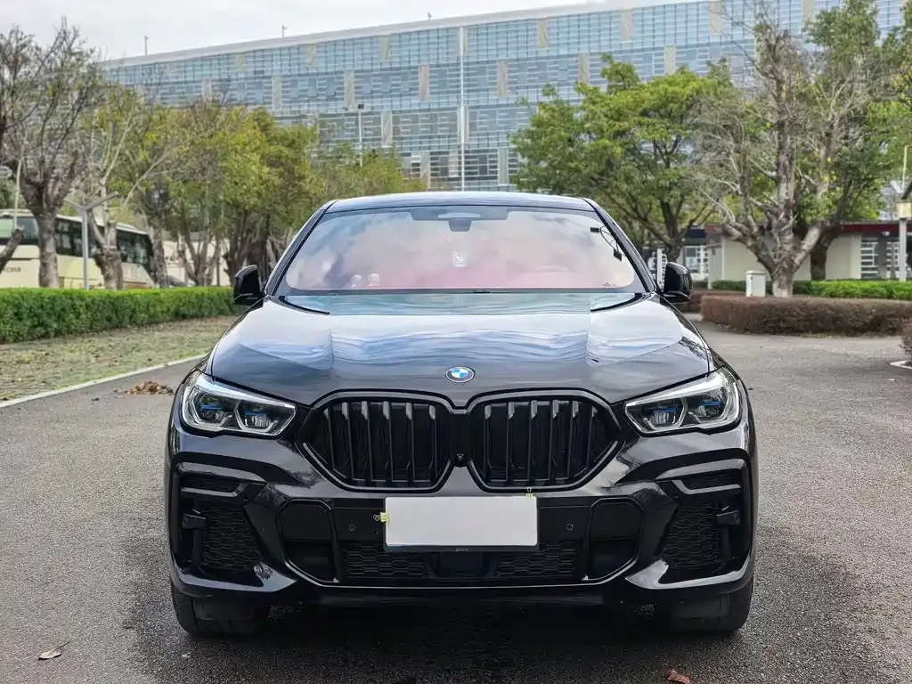 BMW X6 2023 из CN, фото 9