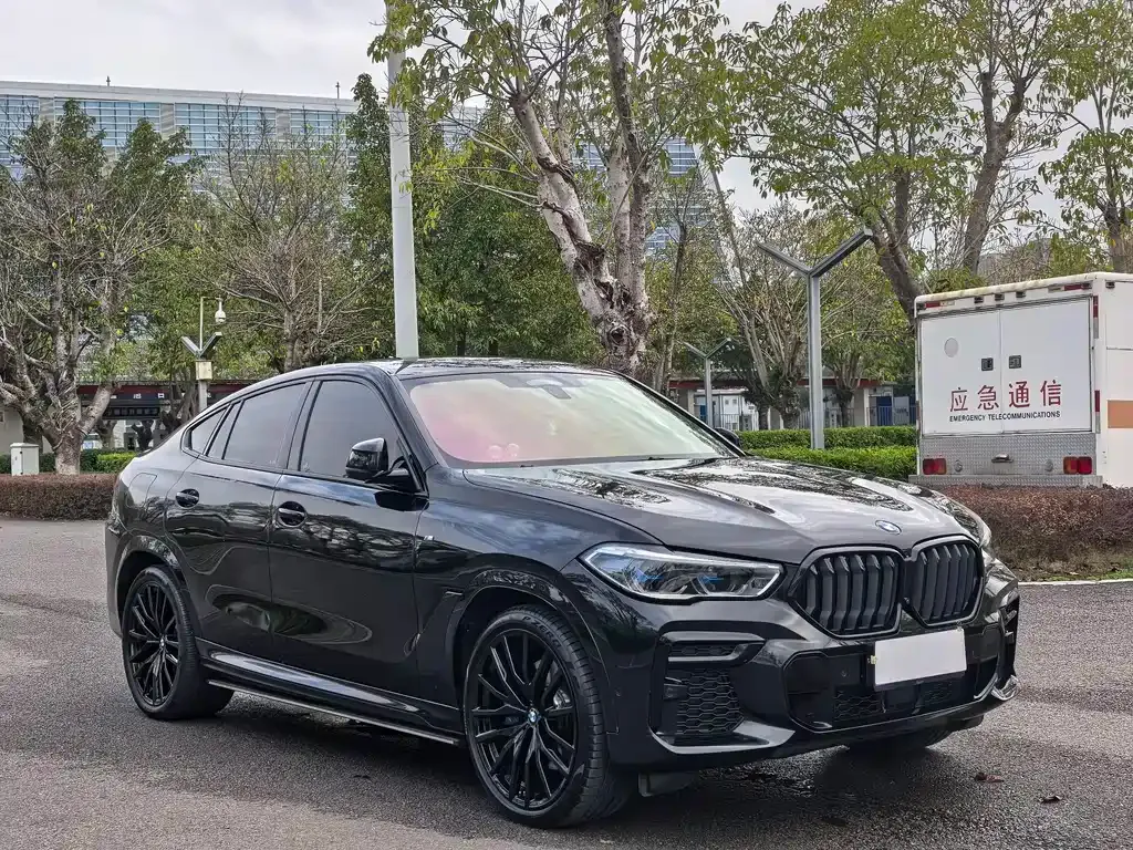BMW X6 2023 из CN, фото 7