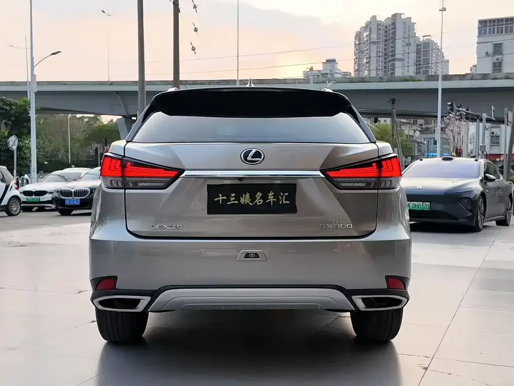 Lexus RX — фото 10