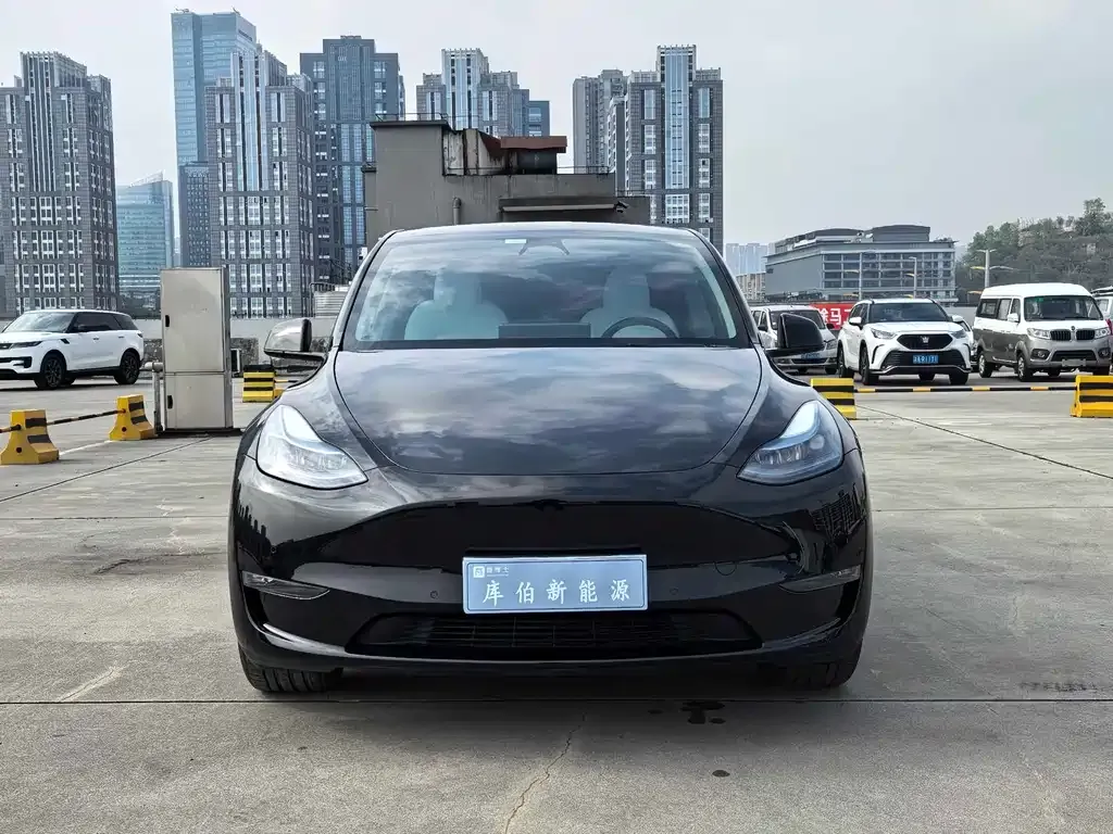 Tesla Model Y — фото 10