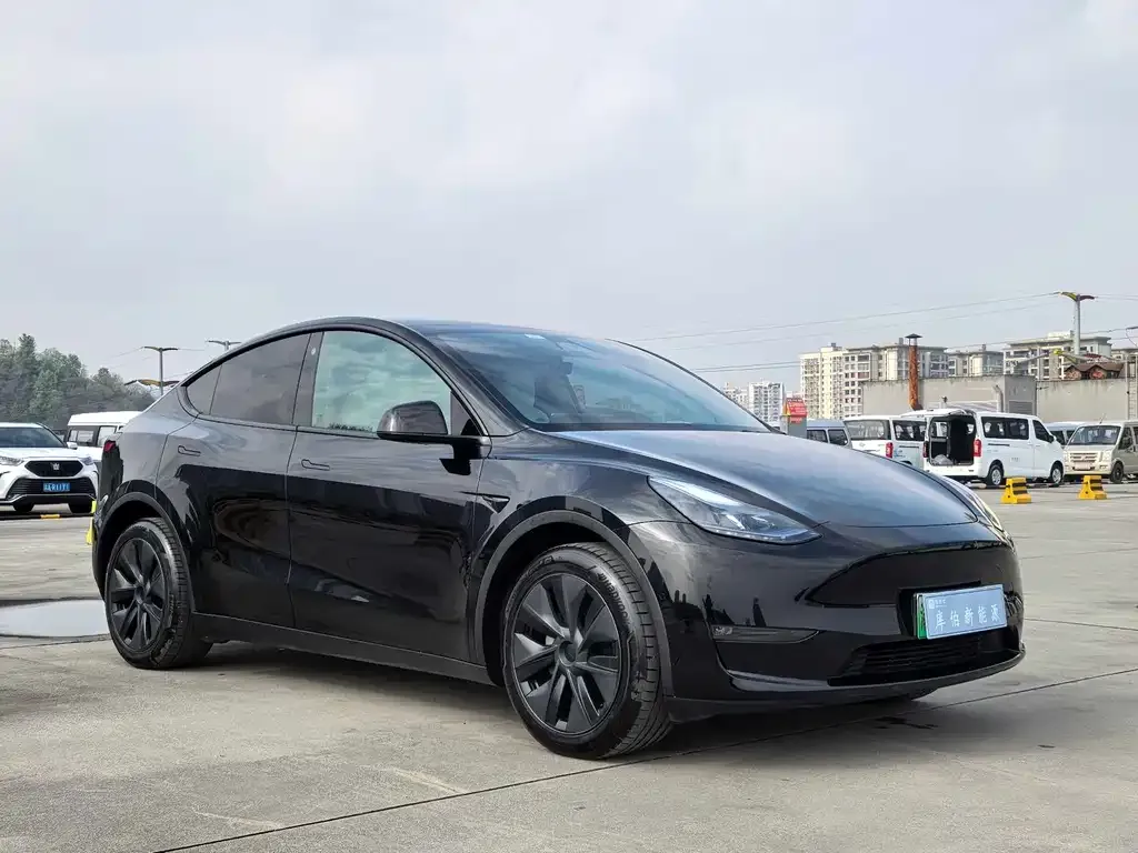 Tesla Model Y — фото 6