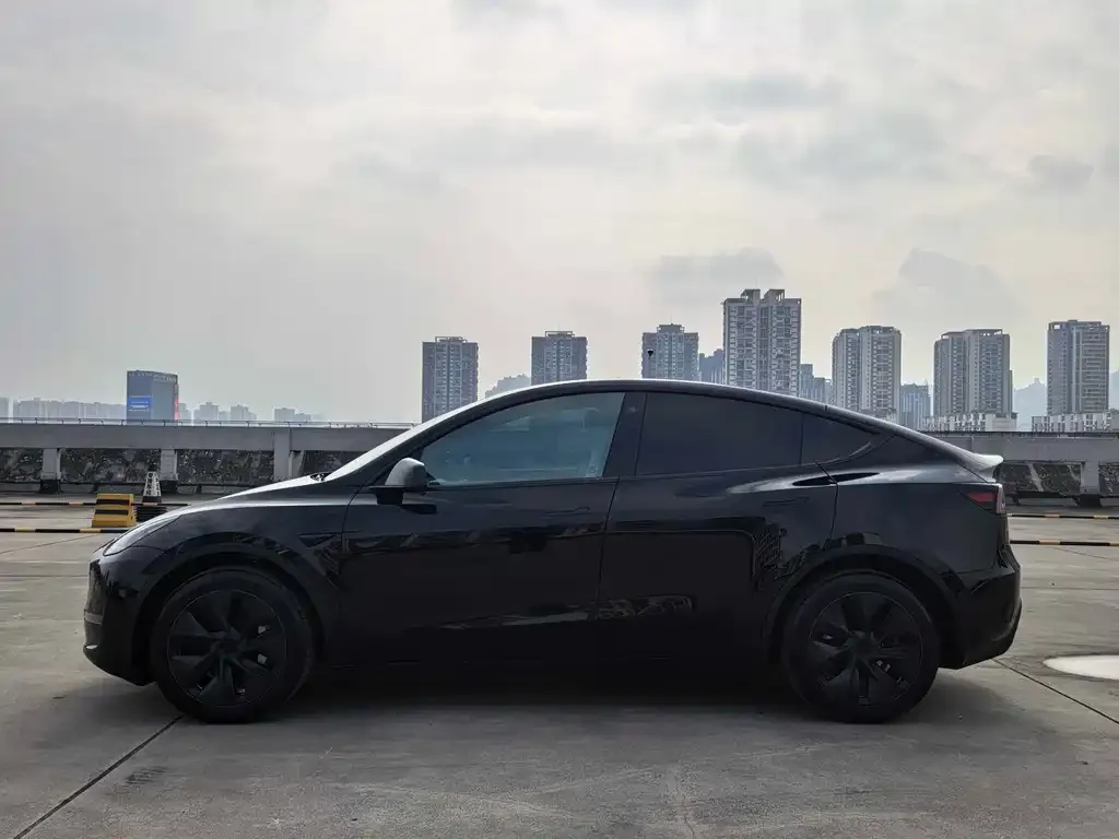 Tesla Model Y — фото 5