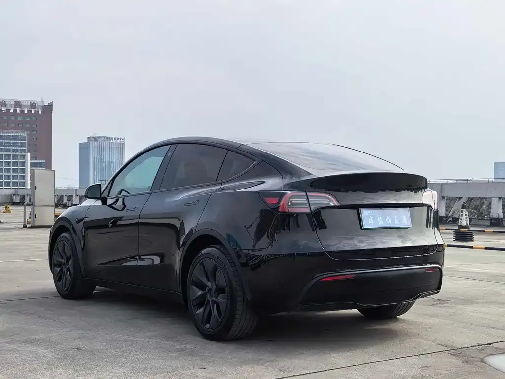 Tesla Model Y — фото 8
