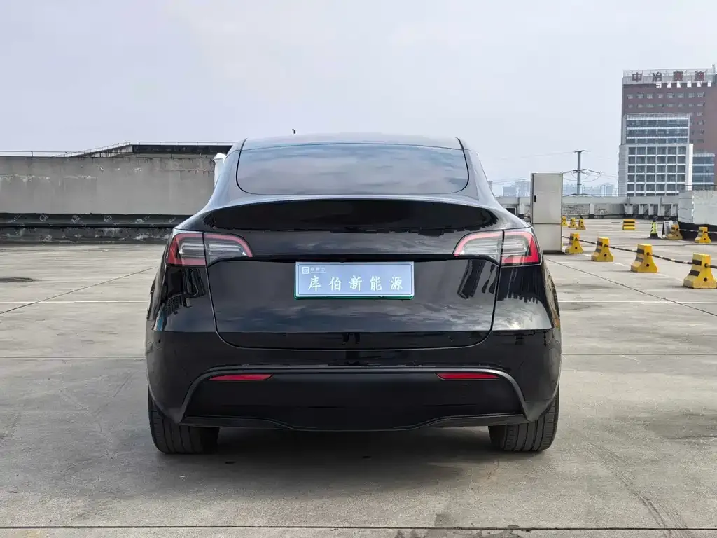 Tesla Model Y — фото 3