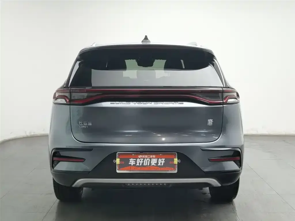 BYD Tang New Energy — фото 10