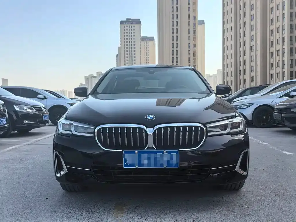 BMW 5 Series 2022 из CN, фото 3
