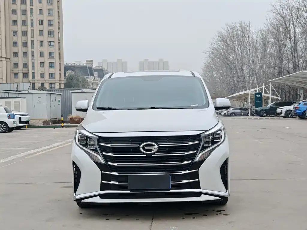 GAC Motor Trumpchi M8 2024 из CN, фото 10
