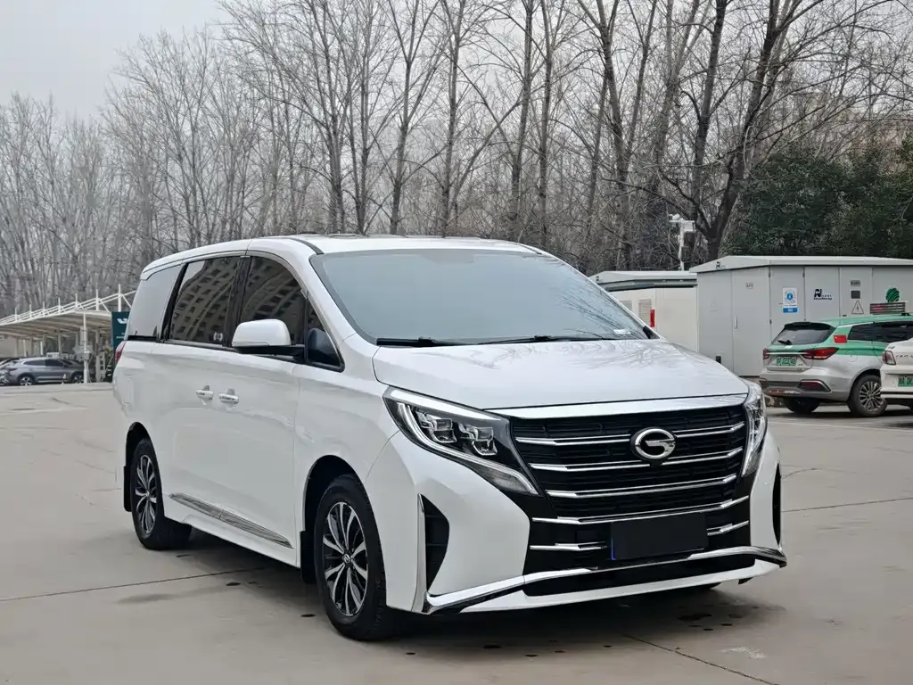 GAC Motor Trumpchi M8 2024 из CN, фото 8