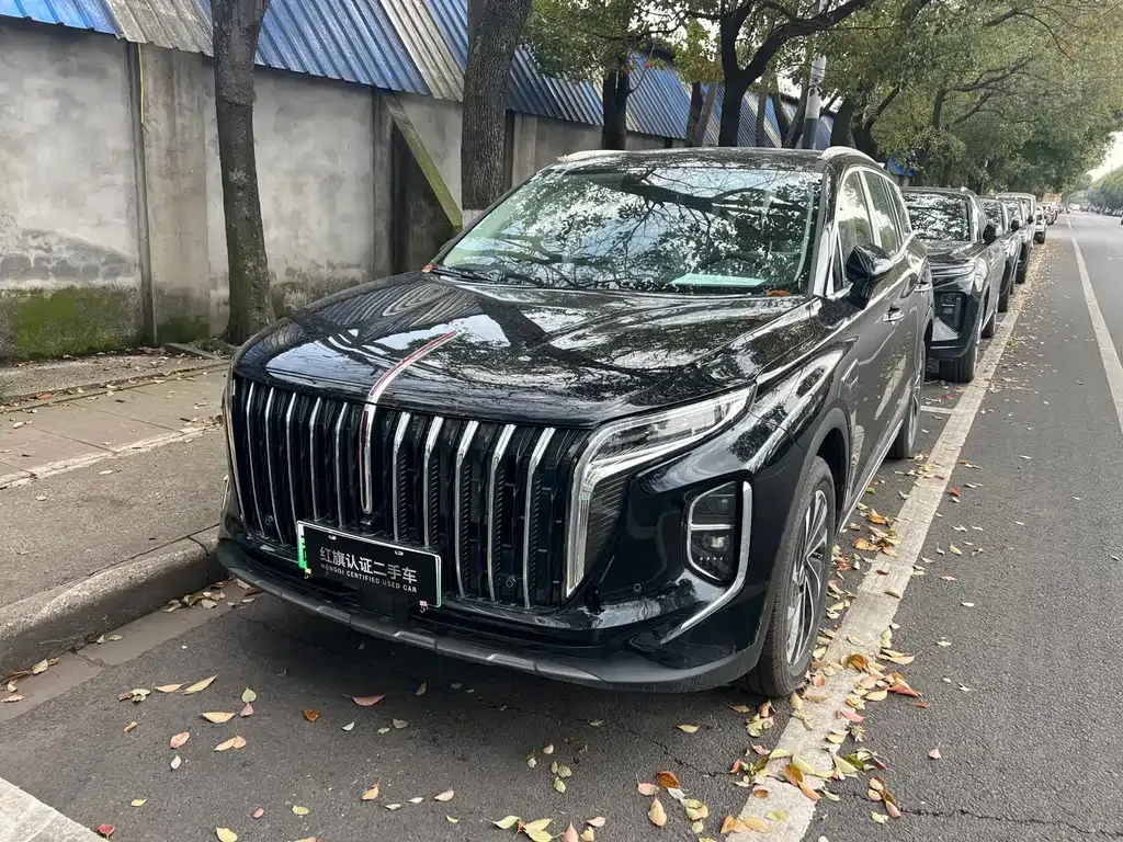Hongqi HS7 PHEV — фото 1
