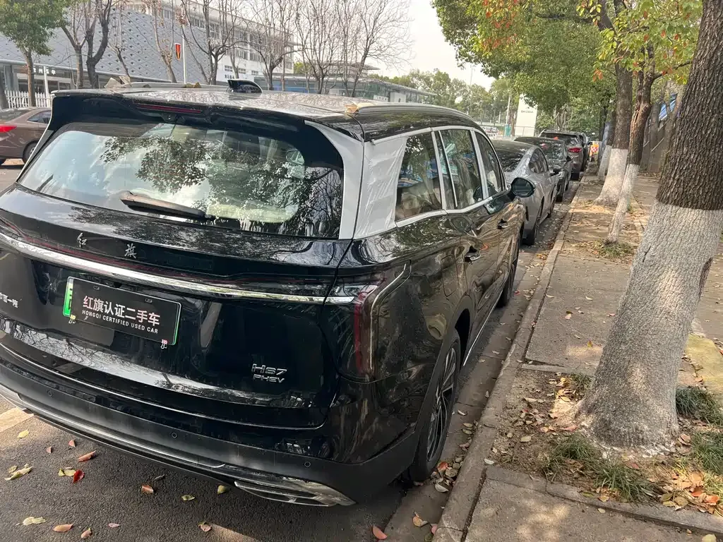 Hongqi HS7 PHEV — фото 7