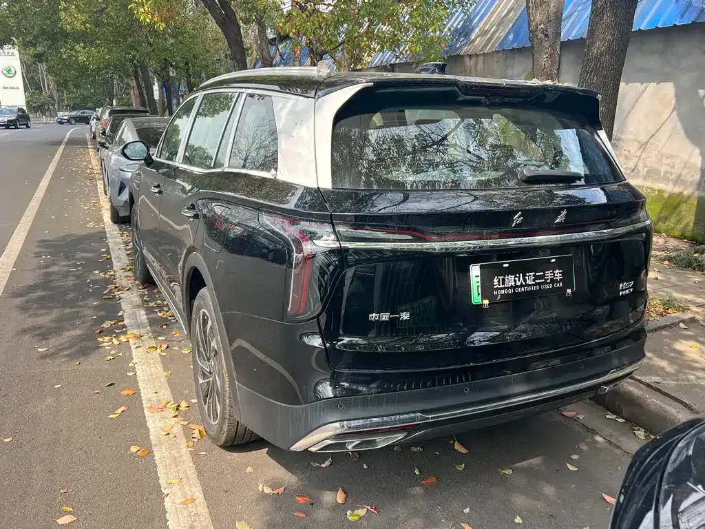 Hongqi HS7 PHEV — фото 8