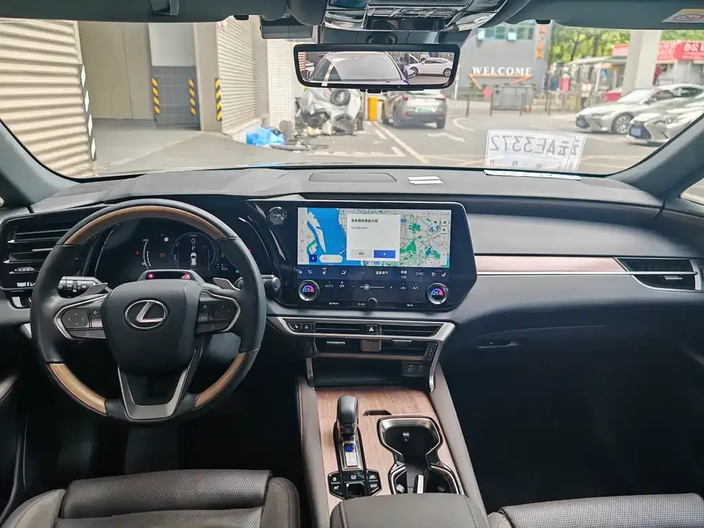 Lexus RX New Energy — фото 8