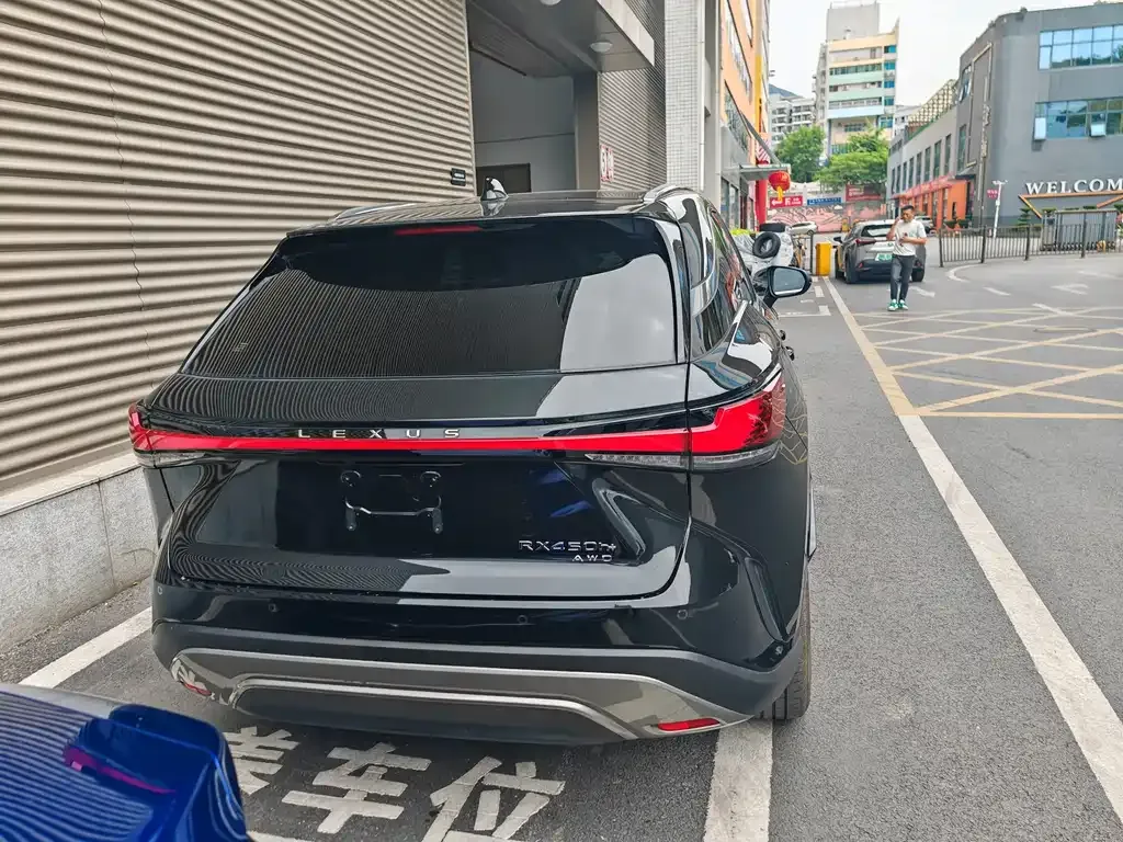 Lexus RX New Energy — фото 9
