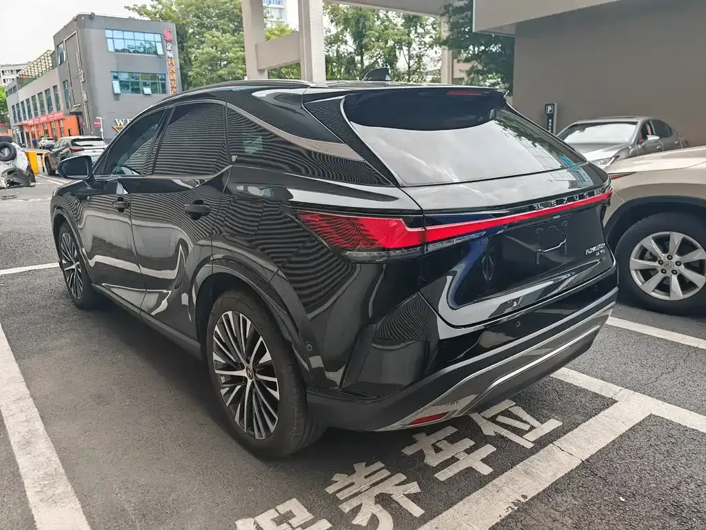 Lexus RX New Energy — фото 7