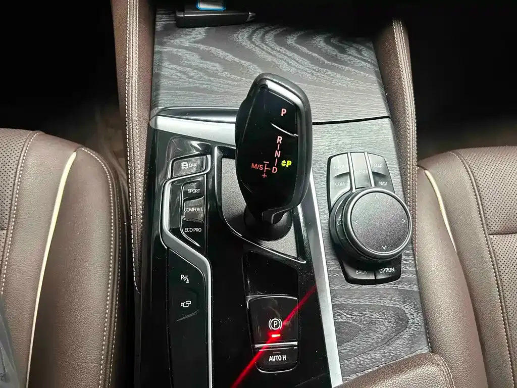 BMW 5 Series 2021 из CN, фото 6