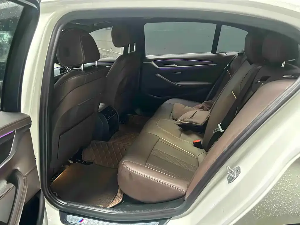 BMW 5 Series 2021 из CN, фото 2