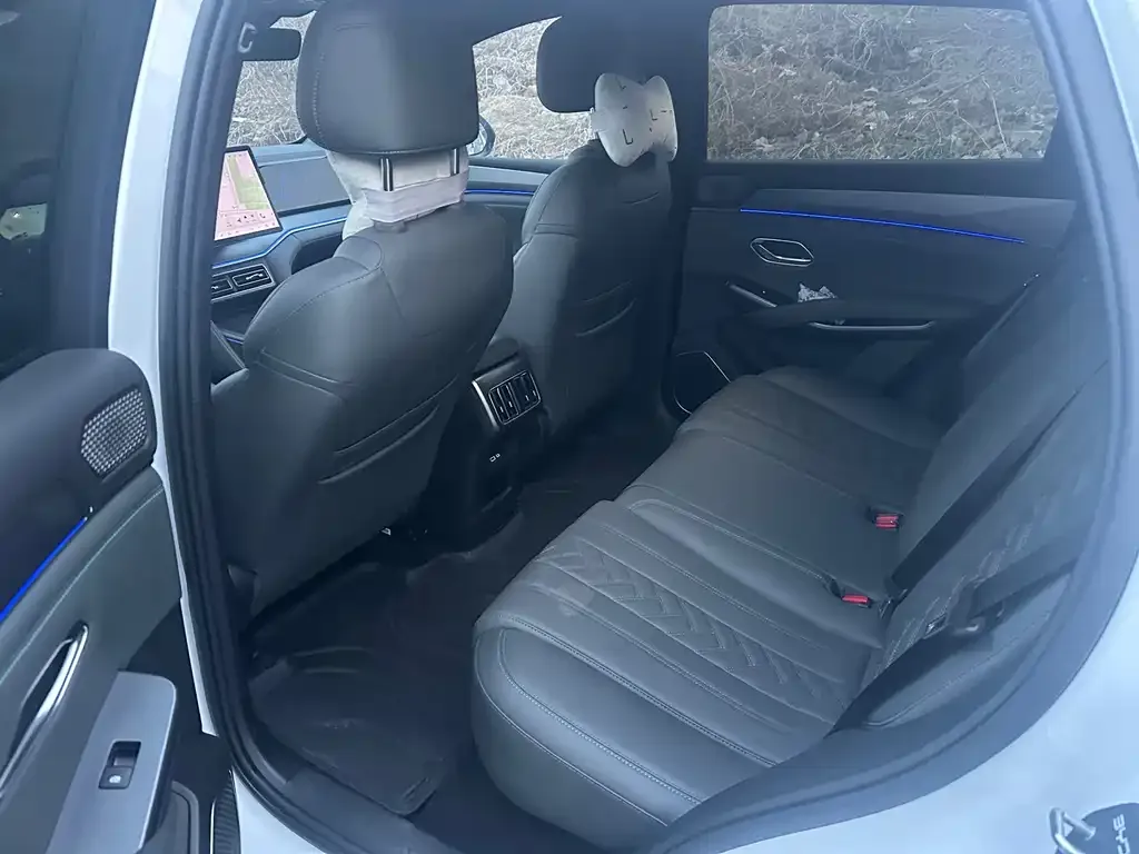 BYD L DM-i 2025 из CN, фото 2