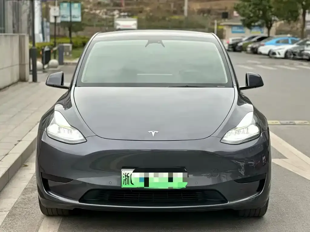 Tesla Model Y — фото 1