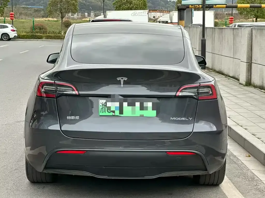 Tesla Model Y — фото 5
