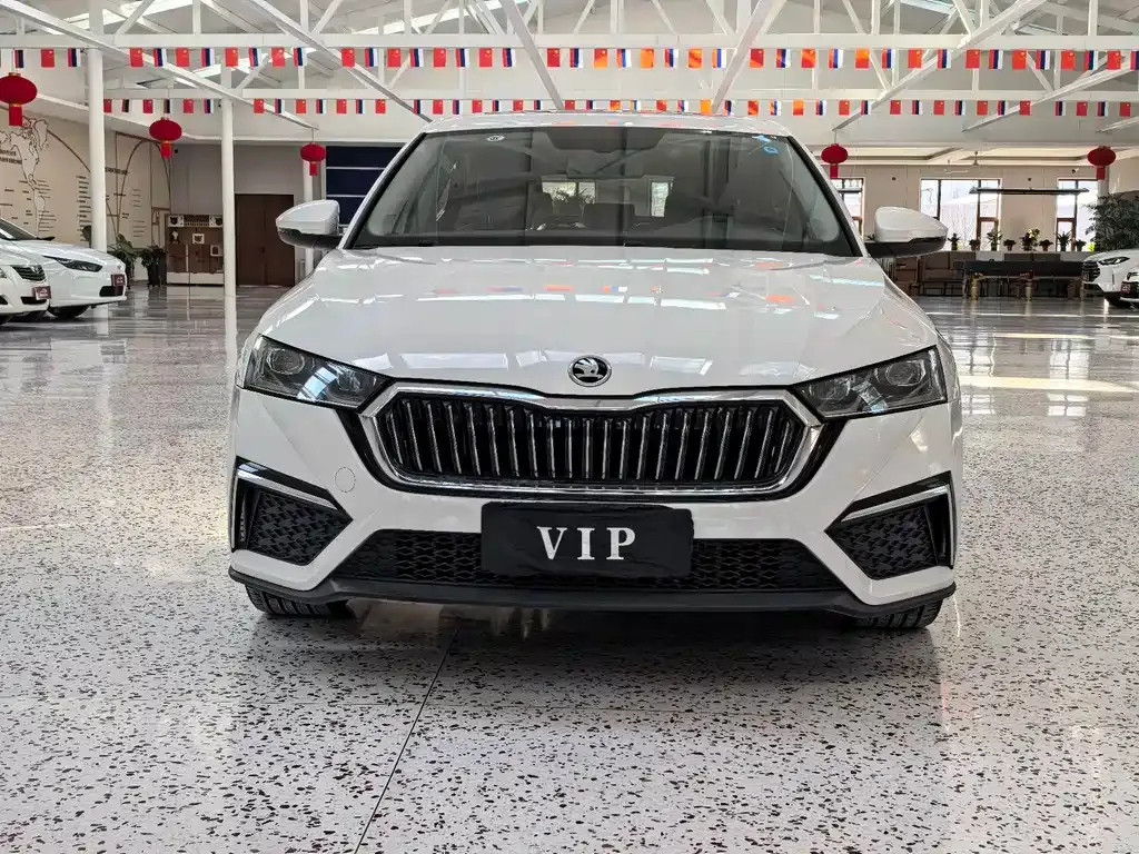 Skoda Octavia 2022 из CN, фото 10
