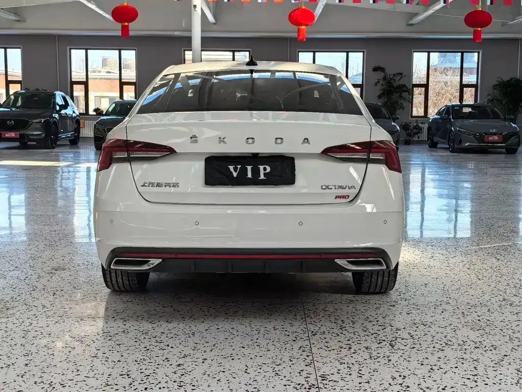 Skoda Octavia 2022 из CN, фото 9
