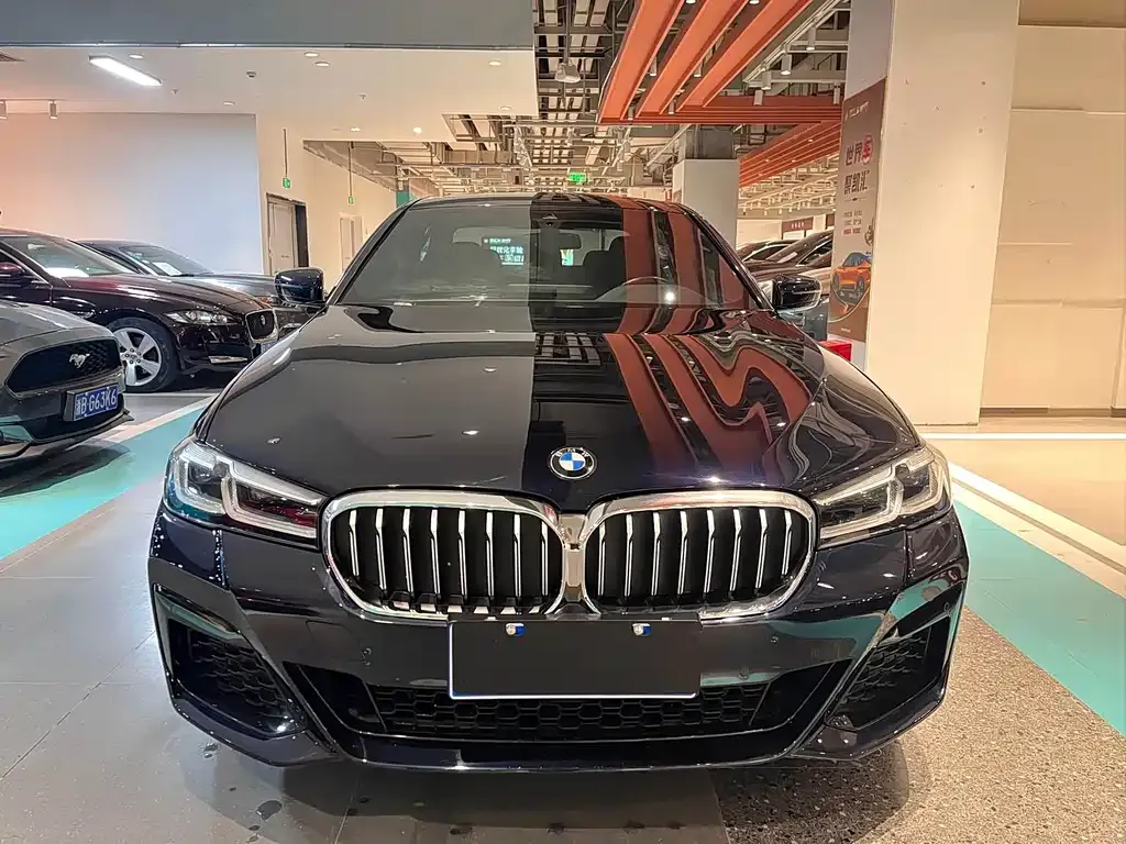 BMW 5 Series 2021 из CN, фото 7