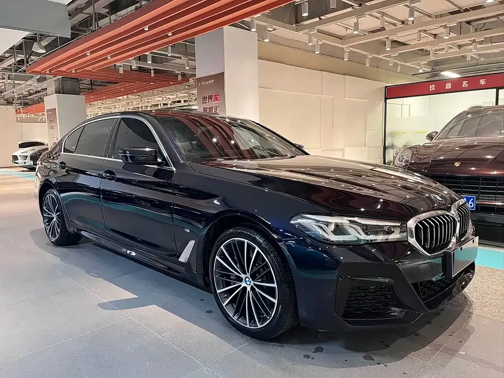 BMW 5 Series 2021 из CN, фото 5