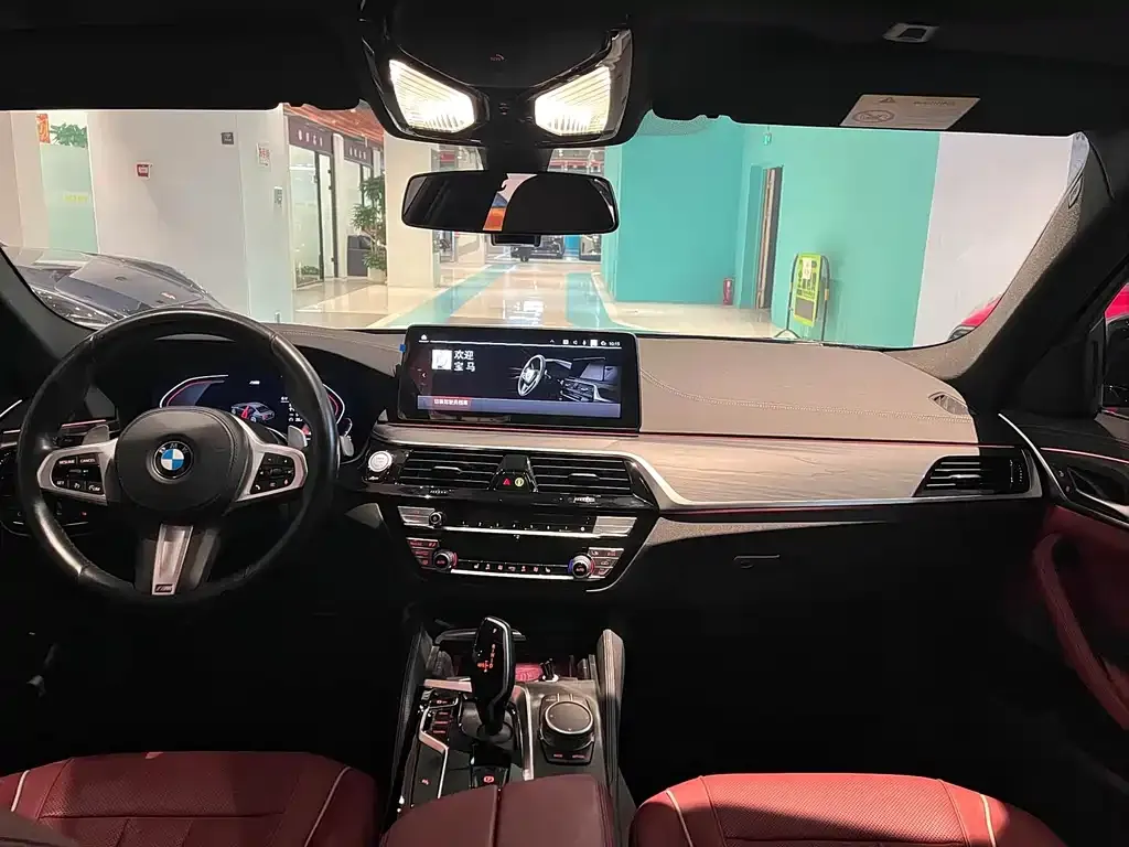 BMW 5 Series 2021 из CN, фото 6