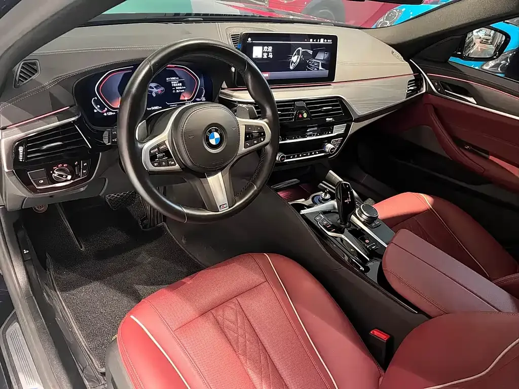 BMW 5 Series 2021 из CN, фото 9
