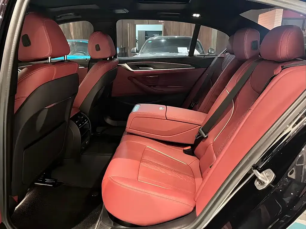 BMW 5 Series 2021 из CN, фото 3