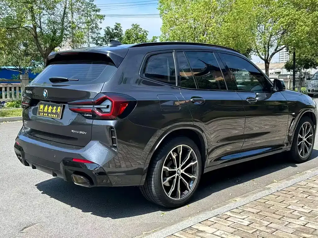 BMW X3 2021 из CN, фото 9