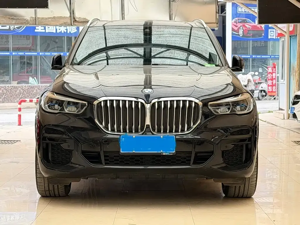BMW X5 (Import) 2021 из CN, фото 3