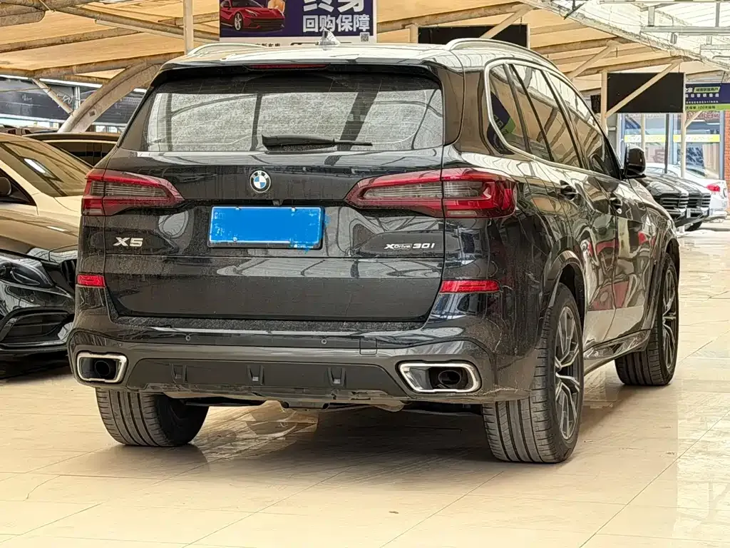 BMW X5 (Import) 2021 из CN, фото 10