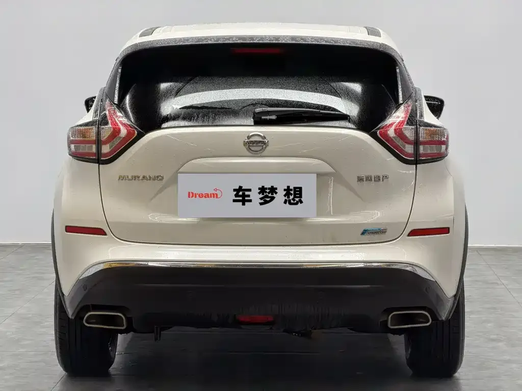 Nissan Murano 2023 из CN, фото 3
