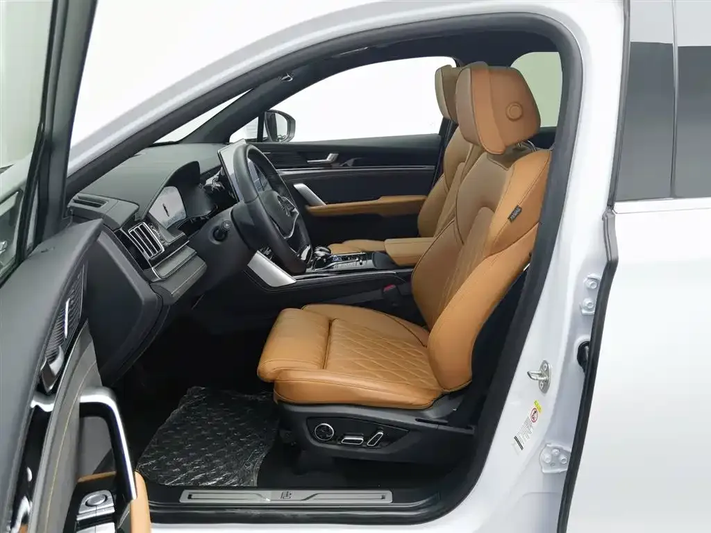 BYD Tang New Energy 2024 из CN, фото 9