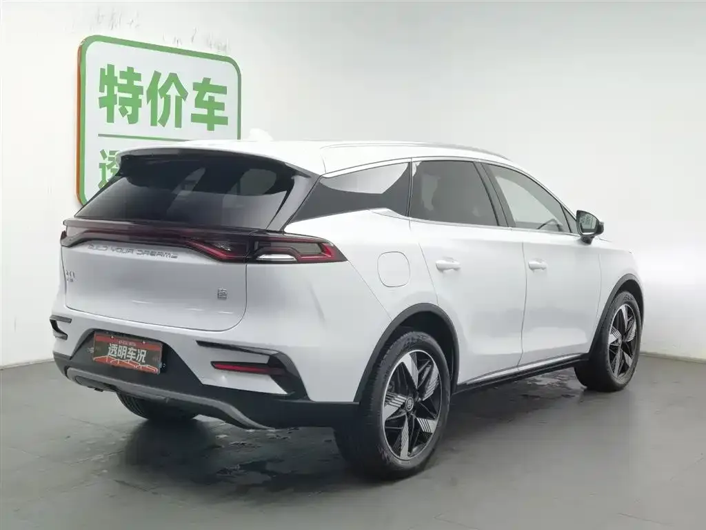 BYD Tang New Energy 2024 из CN, фото 10