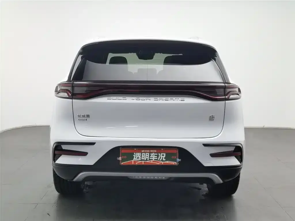 BYD Tang New Energy 2024 из CN, фото 2