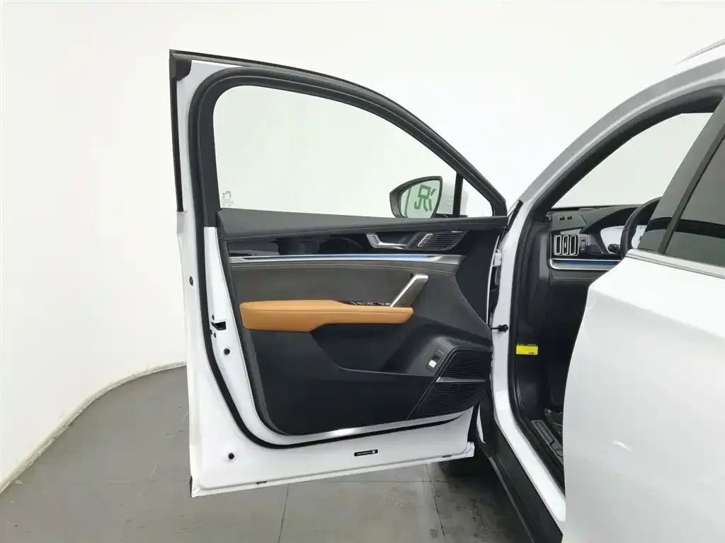 BYD Tang New Energy 2024 из CN, фото 3