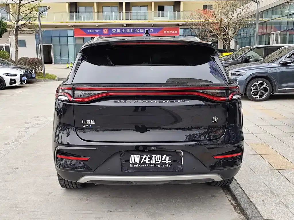 BYD Tang New Energy — фото 2