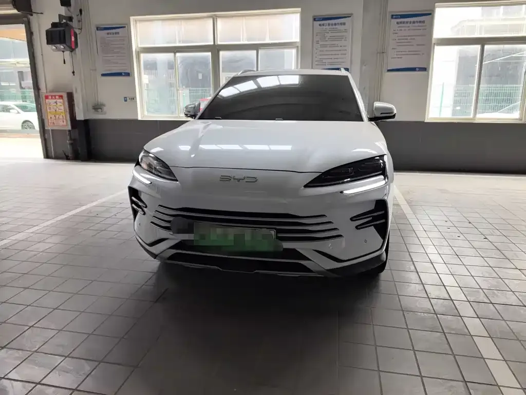 BYD PLUS New Energy — фото 1