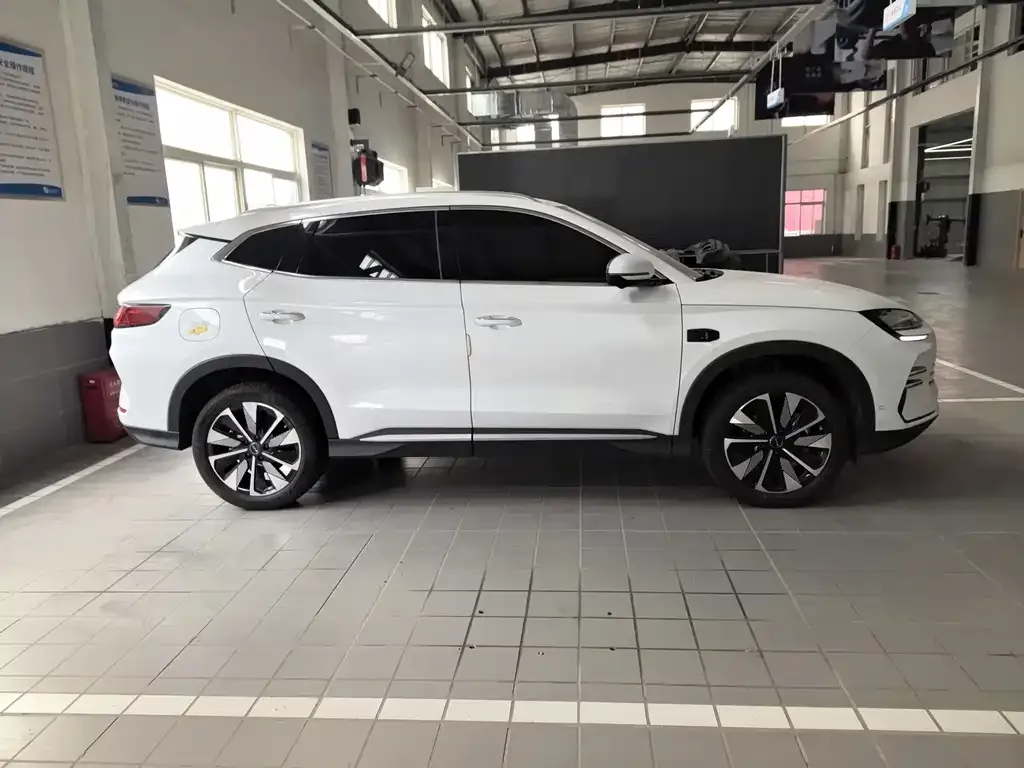BYD PLUS New Energy — фото 8