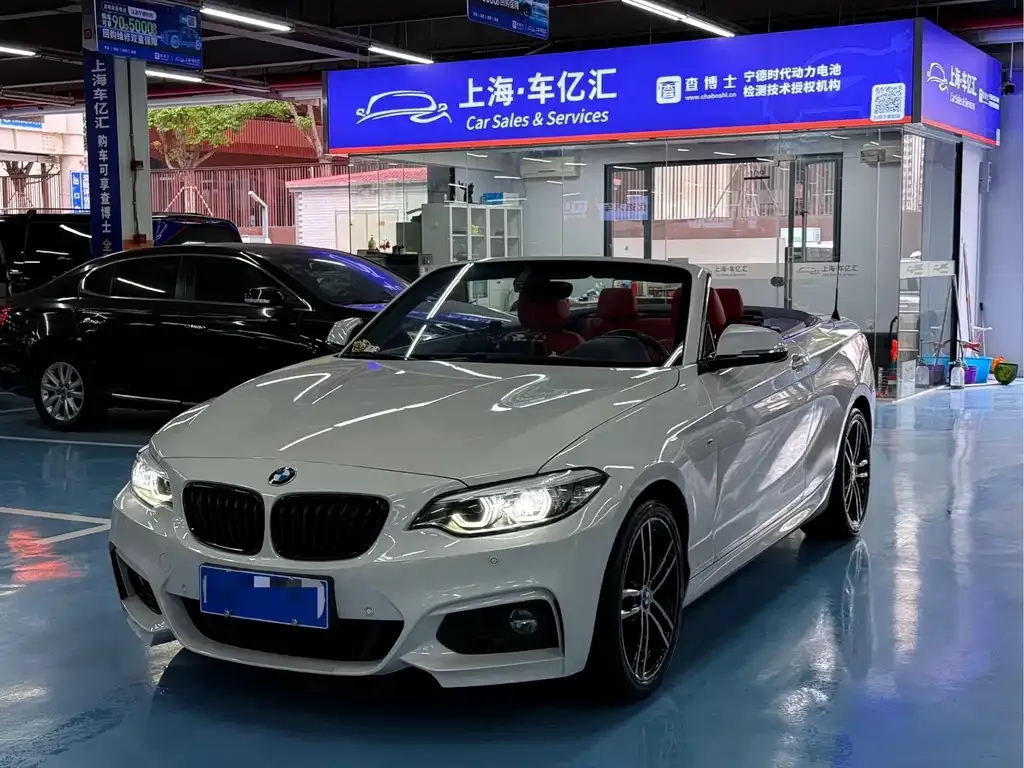 BMW 2 Series (Import)